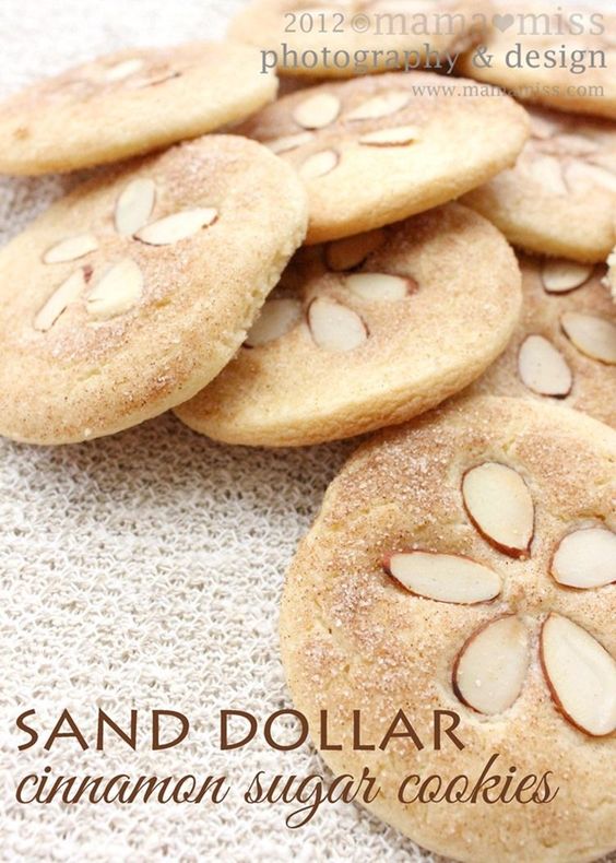 PONTOON GIRL® PARTY FAVORITES: Sand Dollar Cookies