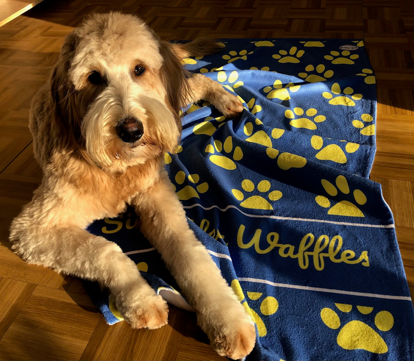 Build a Beach Towel - PAWS - Custom Beachtowel